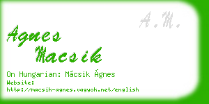agnes macsik business card